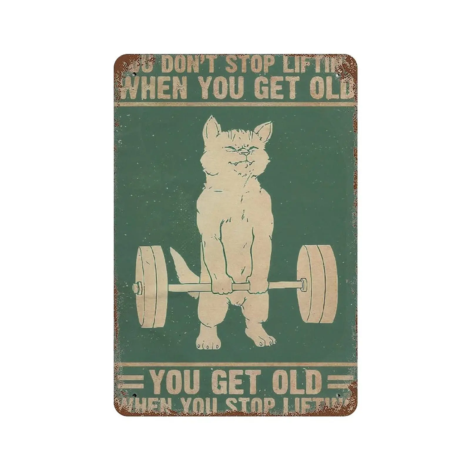 

Metal tin sign，Retro Style， Novelty poster，Iron Painting，You Get Old When You Stop Lifting Tin Sign, Funny Cat Print, Motivation