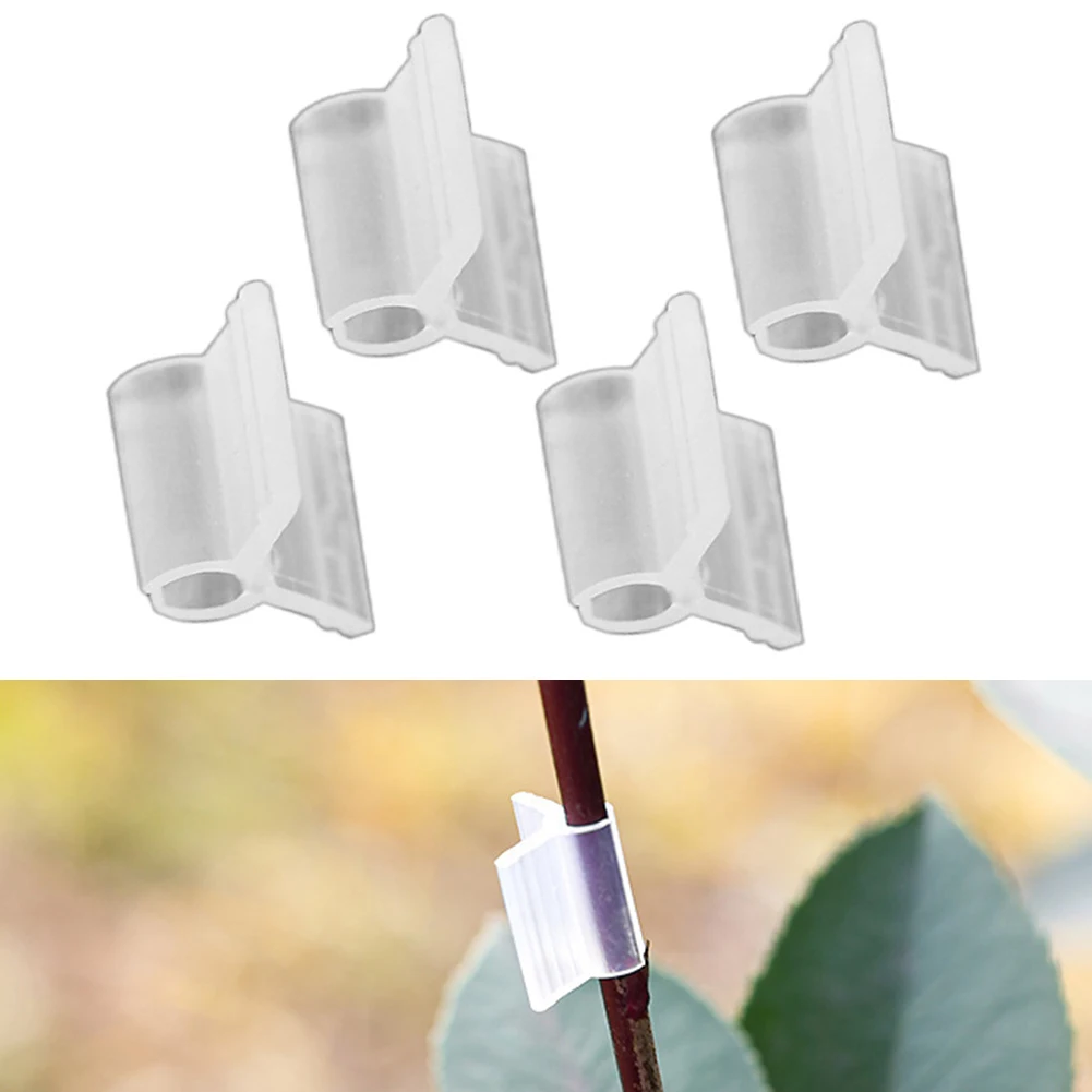 100pcs Garden Grafting Clips Plants Bundled Clamp Plant Grafting Plastic Fixing Tools Garden Plants Grafting Tool
100pcs Garden Grafting Clips Plants Bundled Clamp Plant Grafting Plastic Fixing Tools Garden Plants Grafting Tool