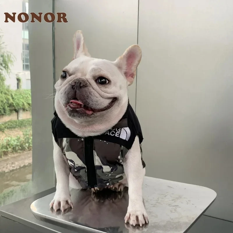 Waterproof Warm Dog Clothes Pet Coat Winter Vest Down Feather Jacket Dog Clothing for Small Medium Big Dogs Outfit
Waterproof Warm Dog Clothes Pet Coat Winter Vest Down Feather Jacket Dog Clothing for Small Medium Big Dogs Outfit