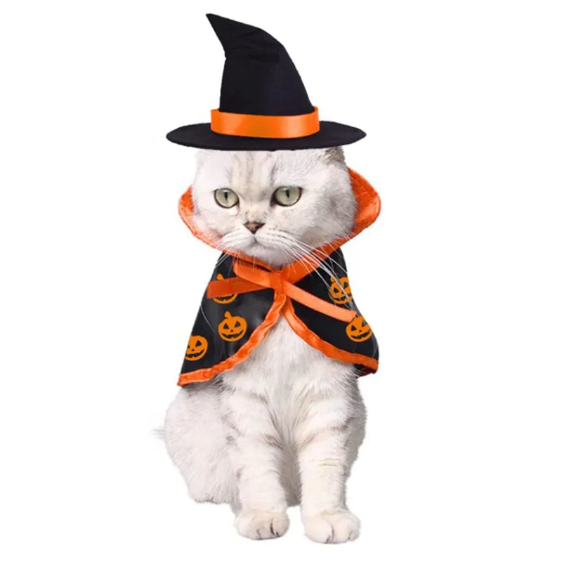 

Enchanting Halloween and Christmas Pet Apparel: Unleash the Magic with our Exclusive Magic Cloak and Festive Pet Supplies