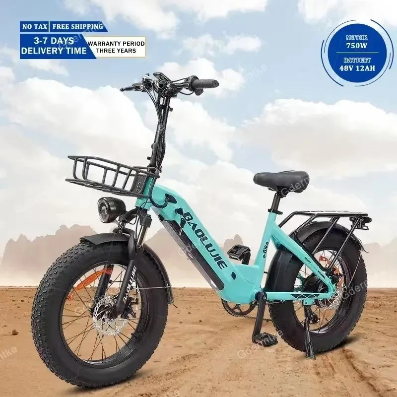 

BAOLUJIE DP2003 20" Electric Bike 750W Motor Powered Fat Tire 48V12Ah Removable Lithium Battery Brushless Motor bicycle Ebike