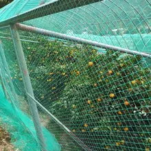 12 Strands 3CM Heavy Anti Bird Net Cat Dog Deer Chicken Fruits Vegetable Orchard Crop Preventing Over Fence Climbing Garden Mesh
12 Strands 3CM Heavy Anti Bird Net Cat Dog Deer Chicken Fruits Vegetable Orchard Crop Preventing Over Fence Climbing Garden Mesh