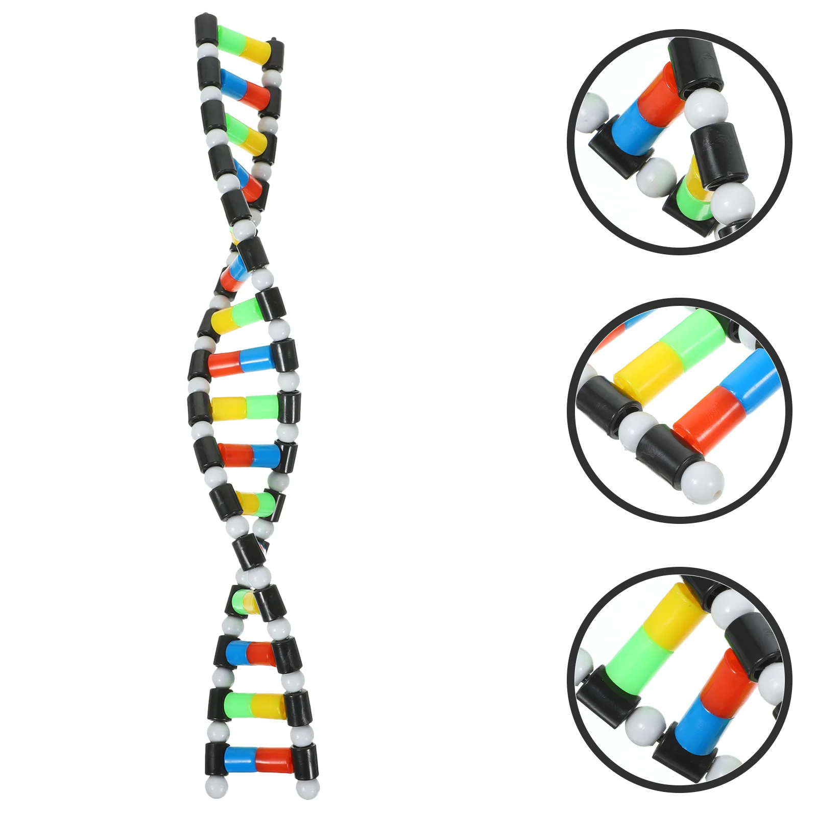 Double Helix Model Dna Decor Science Classroom Set Components Kit for Plastic Students Child
Double Helix Model Dna Decor Science Classroom Set Components Kit for Plastic Students Child