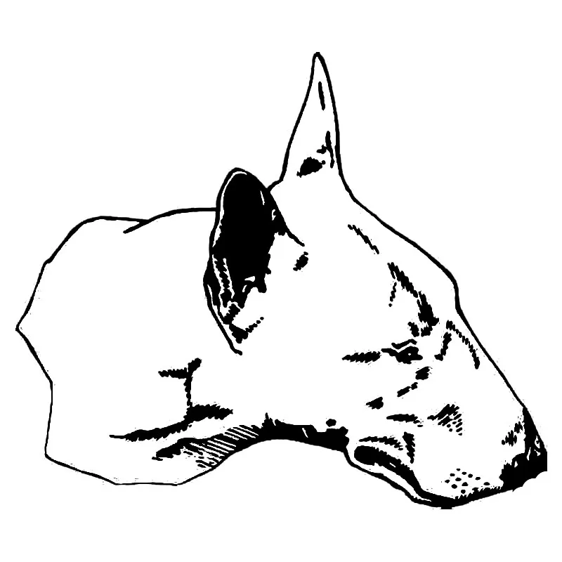 Мультяшная наклейка Brave Bulldog, высококачественное украшение на окно автомобиля, персональная Водонепроницаемая наклейка из ПВХ черного/бело...
Мультяшная наклейка Brave Bulldog, высококачественное украшение на окно автомобиля, персональная Водонепроницаемая наклейка из ПВХ черного/бело...