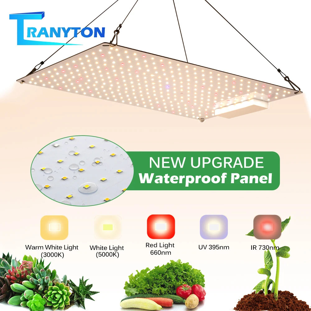 Waterproof LED Grow Light 65W 100W Samsung LM281B Full Spectrum Grow Lamp With Hanging Kits & Switch Plug for Veg and Blooming
Waterproof LED Grow Light 65W 100W Samsung LM281B Full Spectrum Grow Lamp With Hanging Kits & Switch Plug for Veg and Blooming