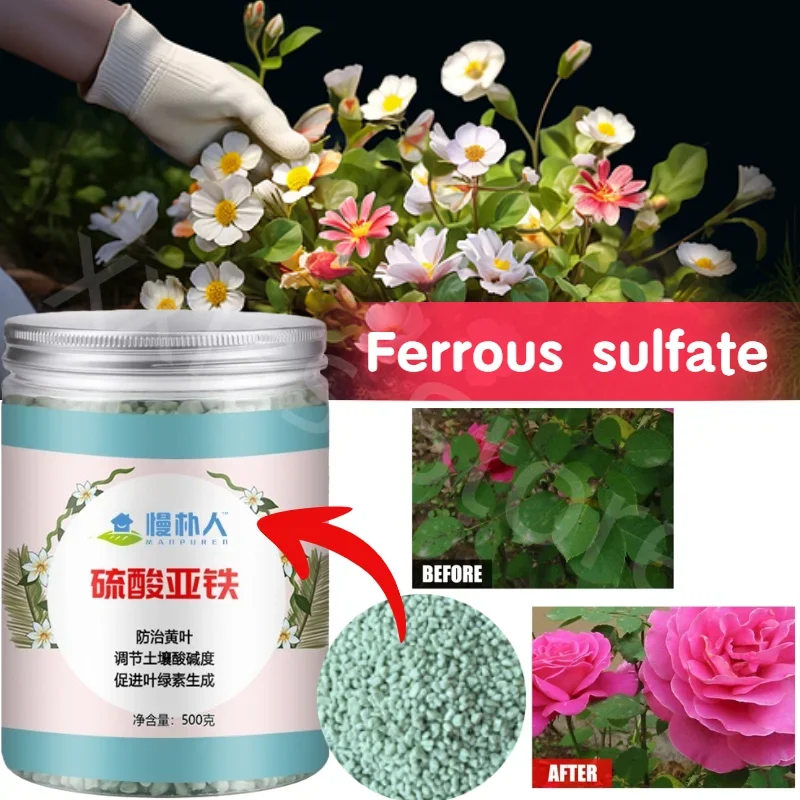 

500g Ferrous Sulfate Flower Fertilizer Soil Improvement Acid Rose Rose Camellia Green Laurel Orchid Yellow Leaf Fertilizer