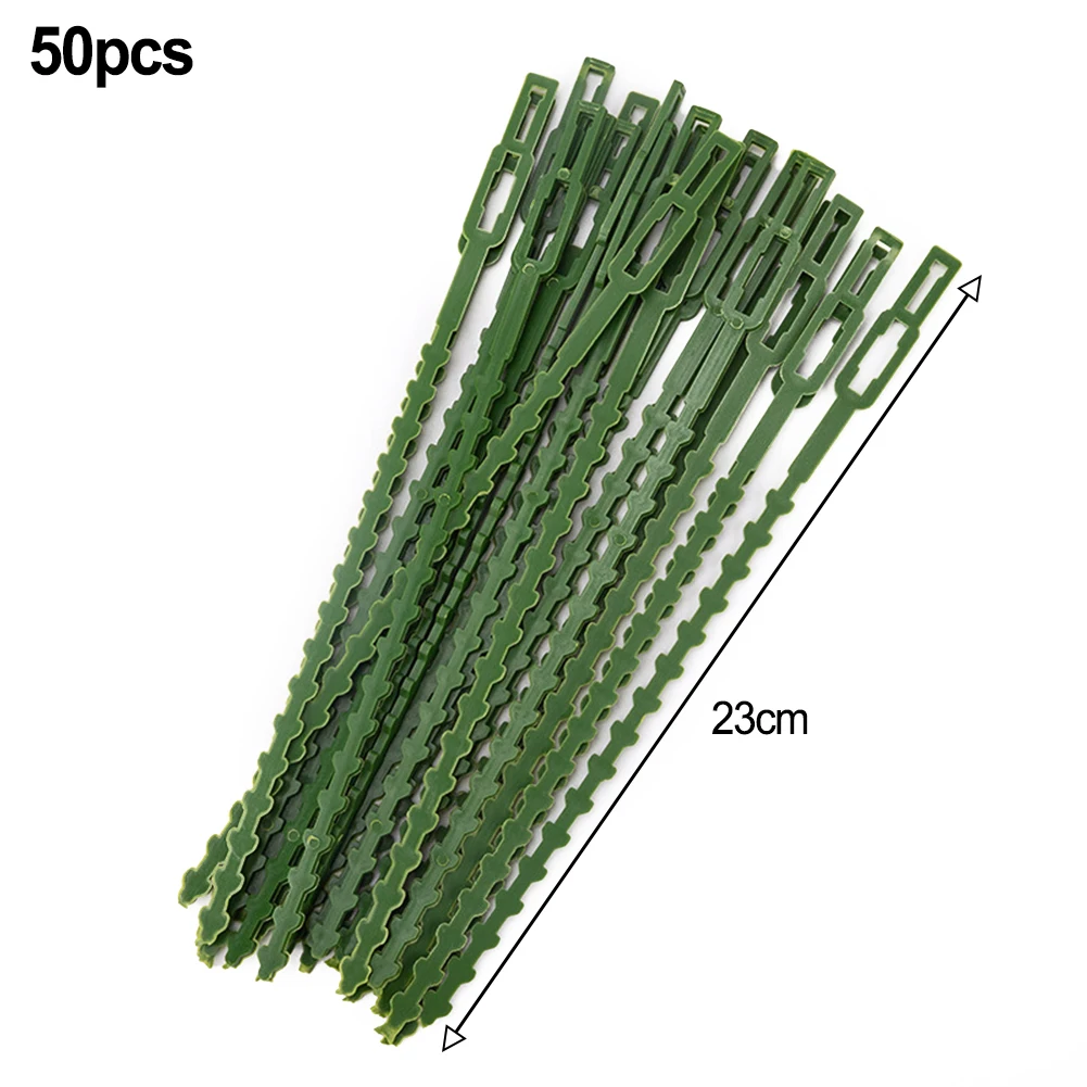50pcs Garden Adjustable Plant Support 13cm/17cm/23cm Binding Tie Flexibility Plastic Green Plant Climbing Vine Gardening Parts
50pcs Garden Adjustable Plant Support 13cm/17cm/23cm Binding Tie Flexibility Plastic Green Plant Climbing Vine Gardening Parts