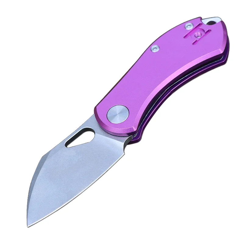 Outdoor Mini Keychain Knife Portable Paring Folding Knife high hardness Hunting Camping Fishing Fruit Cutting Tool
Outdoor Mini Keychain Knife Portable Paring Folding Knife high hardness Hunting Camping Fishing Fruit Cutting Tool