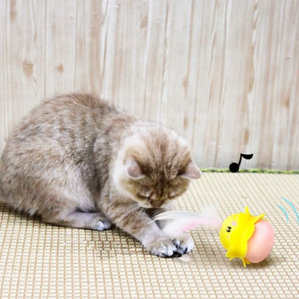 Interactive Cat Tumbler Feather Toys Rotatable Plastic/Feather Pet Electric Rotating Tumbler with LED Light USB Charging
Interactive Cat Tumbler Feather Toys Rotatable Plastic/Feather Pet Electric Rotating Tumbler with LED Light USB Charging