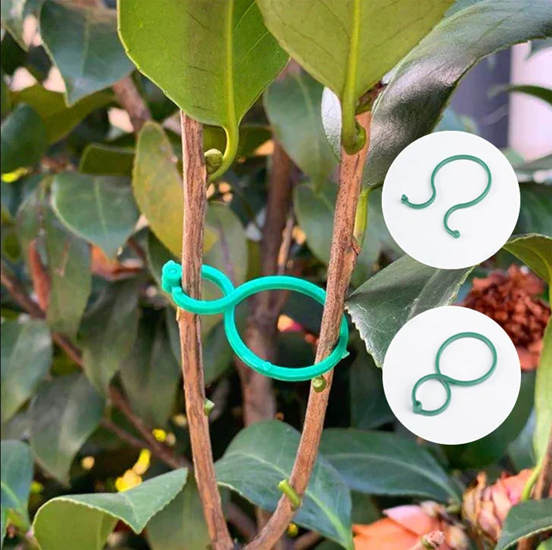 100pcs Garden Buckle Garden Clip Grafting Clip Gardening 8 Character Buckle Ring Gourd Ring Gardening Garden Plant Holder
100pcs Garden Buckle Garden Clip Grafting Clip Gardening 8 Character Buckle Ring Gourd Ring Gardening Garden Plant Holder