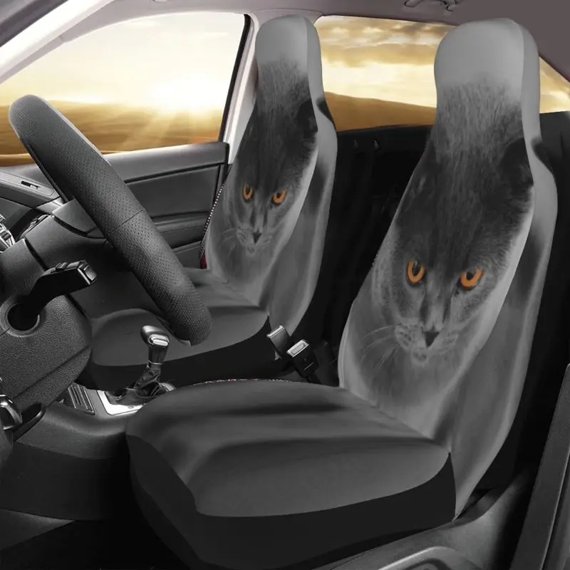 British Shorthair Cat Car Seats Covers, Grunge Gothic Car Seats Protector, Halloween Vamp Car Accessories, Car Seat Upholstery
British Shorthair Cat Car Seats Covers, Grunge Gothic Car Seats Protector, Halloween Vamp Car Accessories, Car Seat Upholstery