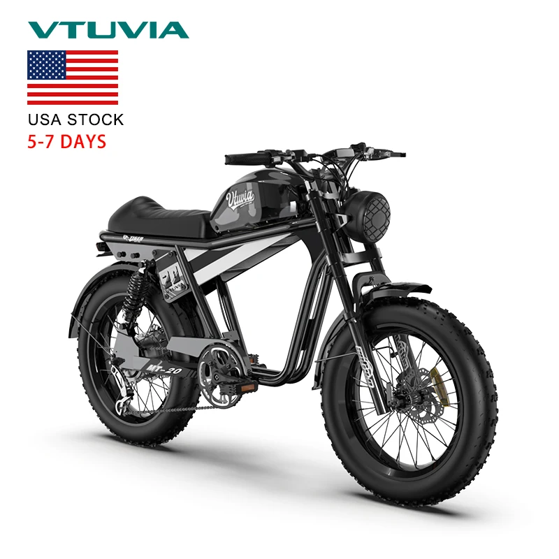 

USA Warehouse 750w 48v Motor Fat Tire Full Suspension Electric Mountain Dirt Bike City Bicycle Electric Motorcycle