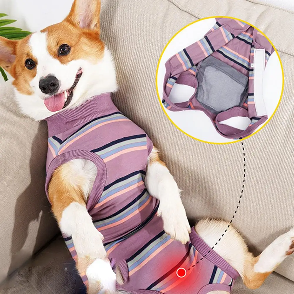 YOUZI Pet Dog Striped Surgery Recovery Suit Highly Elastic Comfortable Anti-licking Alternative Abdominal Wounds Bandages
YOUZI Pet Dog Striped Surgery Recovery Suit Highly Elastic Comfortable Anti-licking Alternative Abdominal Wounds Bandages