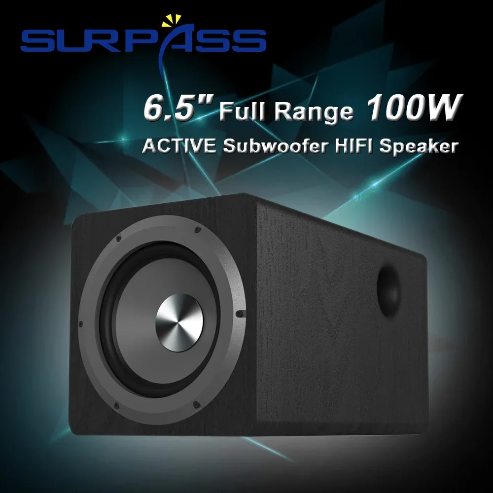 

6.5" Subwoofer HIFI Speaker Music 100W Full Range Speaker Audio Resonance Woofer Vibration Strong Bass Loudspeaker for Amplifier