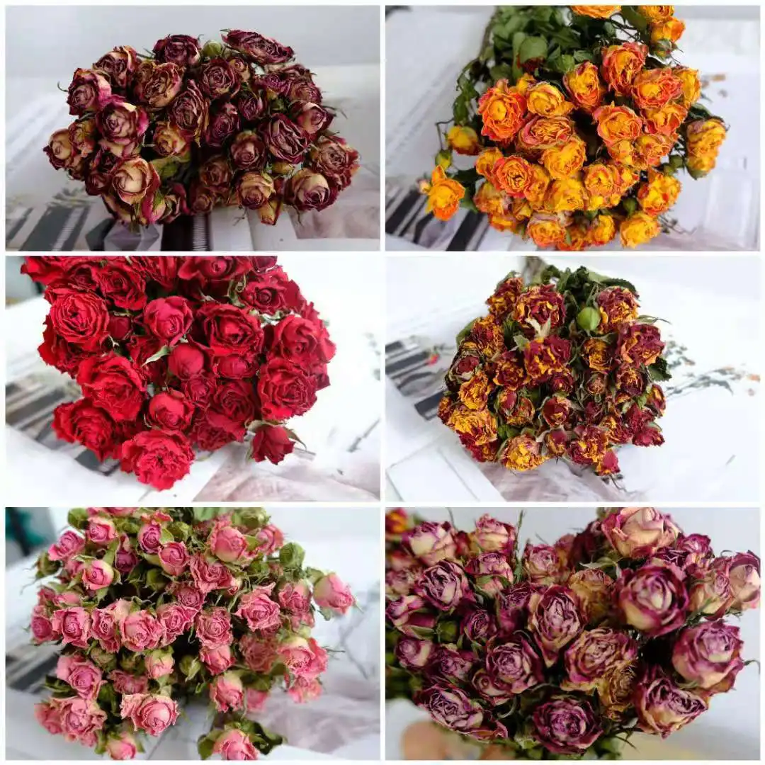 20pcs Rose Dry Flower Wedding Bouquet Romantic Bubble Drying Small Natural Rose Dried Flowers Wedding Home Decor Gifts 
20pcs Rose Dry Flower Wedding Bouquet Romantic Bubble Drying Small Natural Rose Dried Flowers Wedding Home Decor Gifts
