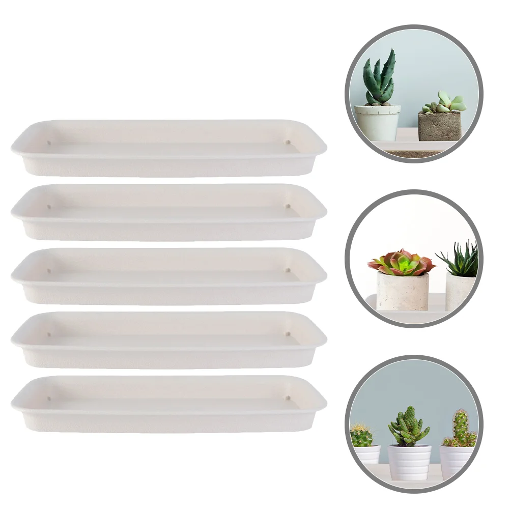 5Pcs Tray for Planter Rectangular Flowerpot Water Tray Plant Saucer for Bonsai Rectangular Plant Saucer
5Pcs Tray for Planter Rectangular Flowerpot Water Tray Plant Saucer for Bonsai Rectangular Plant Saucer