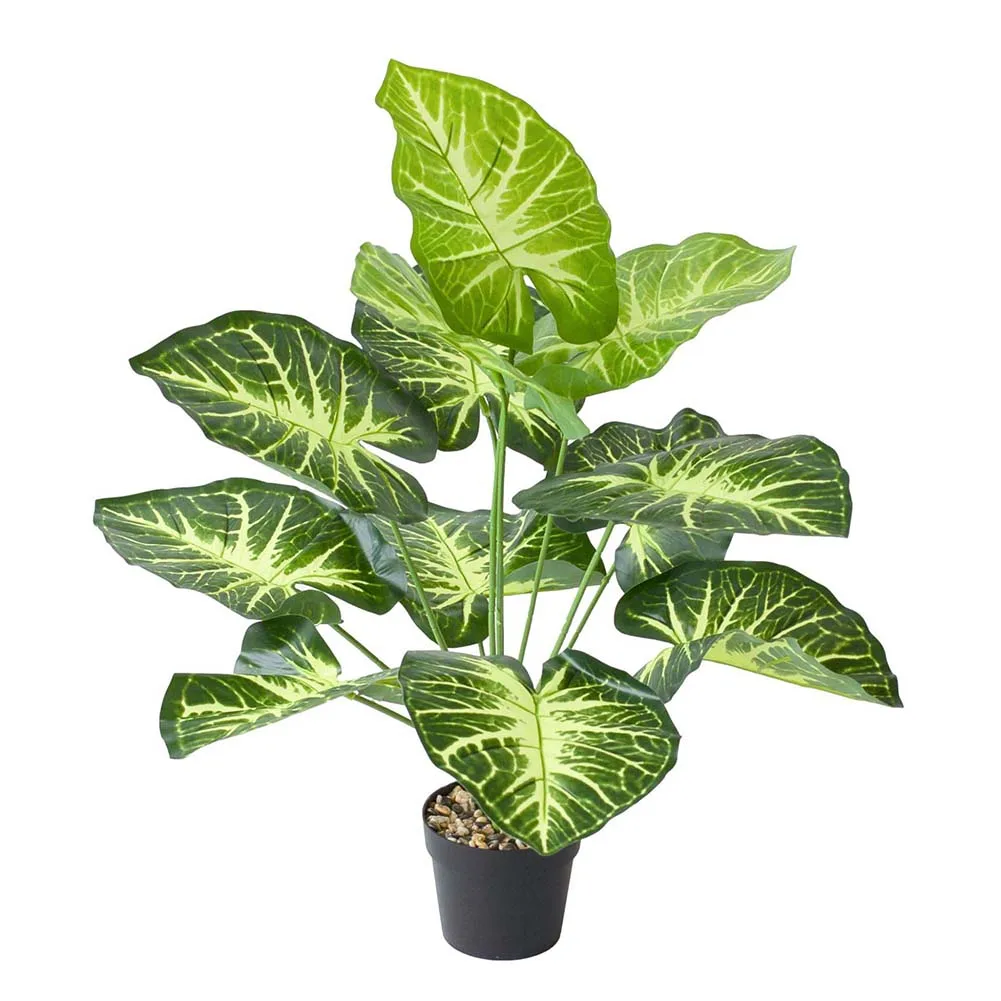 Artificial Plant Simulation Plant Vibrant Artificial Greenery for Nordic Style Home Decor Plastic Pot Inclusive
Artificial Plant Simulation Plant Vibrant Artificial Greenery for Nordic Style Home Decor Plastic Pot Inclusive
