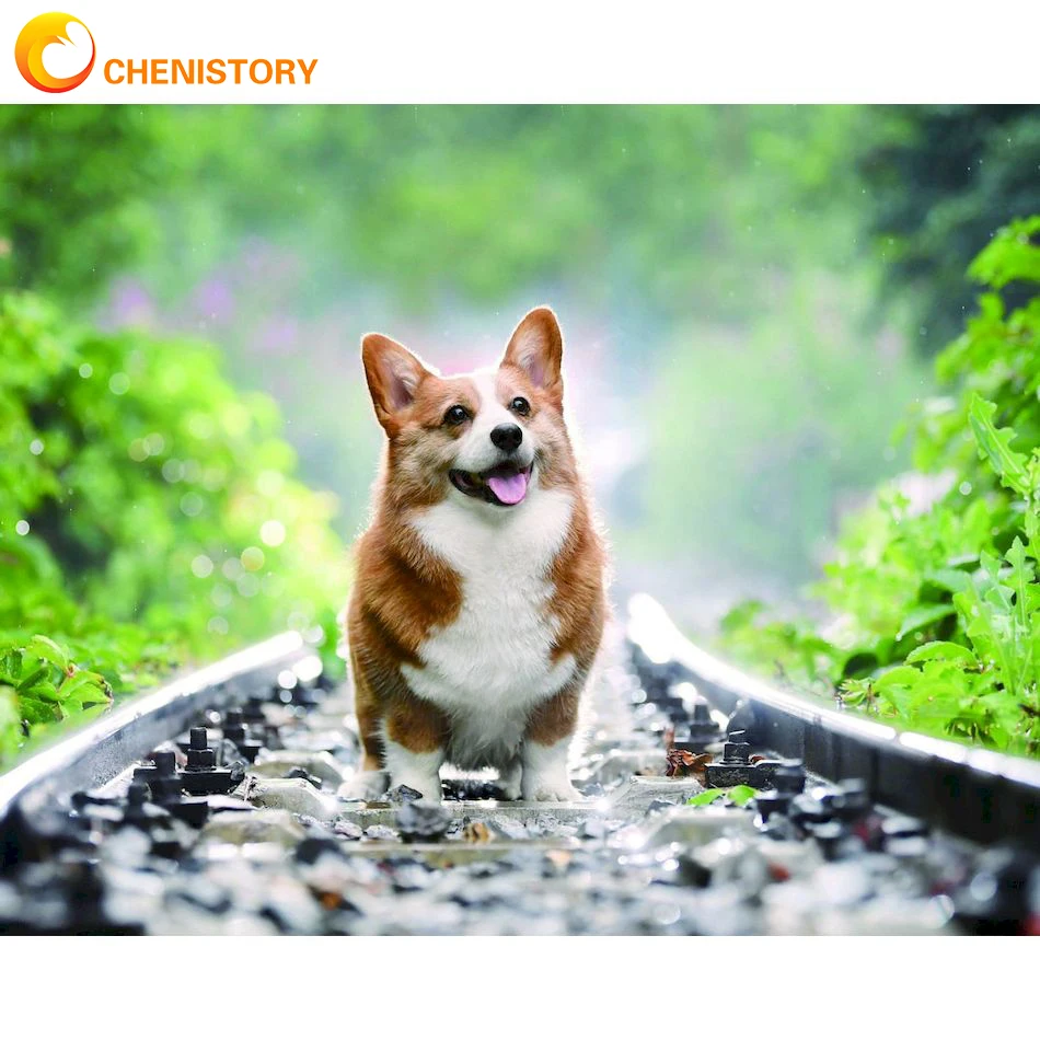 CHENISTORY Diy 5D алмазная живопись животное собака полное круглое искусство Алмазная вышивка мозаика Стразы Вышивка крестиком украшение для дома
CHENISTORY Diy 5D алмазная живопись животное собака полное круглое искусство Алмазная вышивка мозаика Стразы Вышивка крестиком украшение для дома