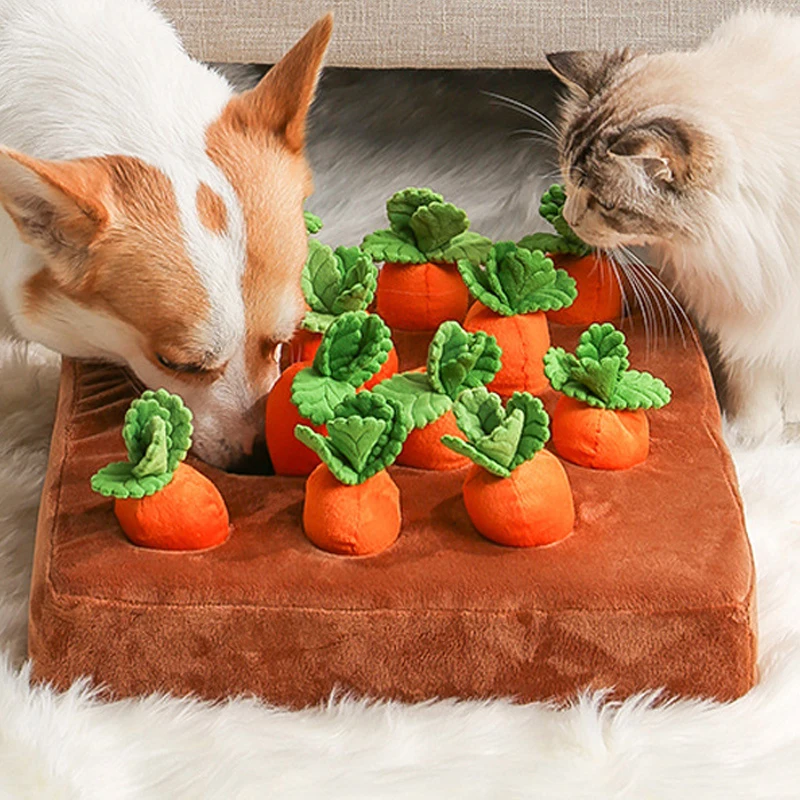 Interactive Toys Plush Carrot Dog Cat Toy Carrot Pet Vegetable Chew Toy Sniff Pets Habits Durable Chew Dog Accessorie Food Toy
Interactive Toys Plush Carrot Dog Cat Toy Carrot Pet Vegetable Chew Toy Sniff Pets Habits Durable Chew Dog Accessorie Food Toy