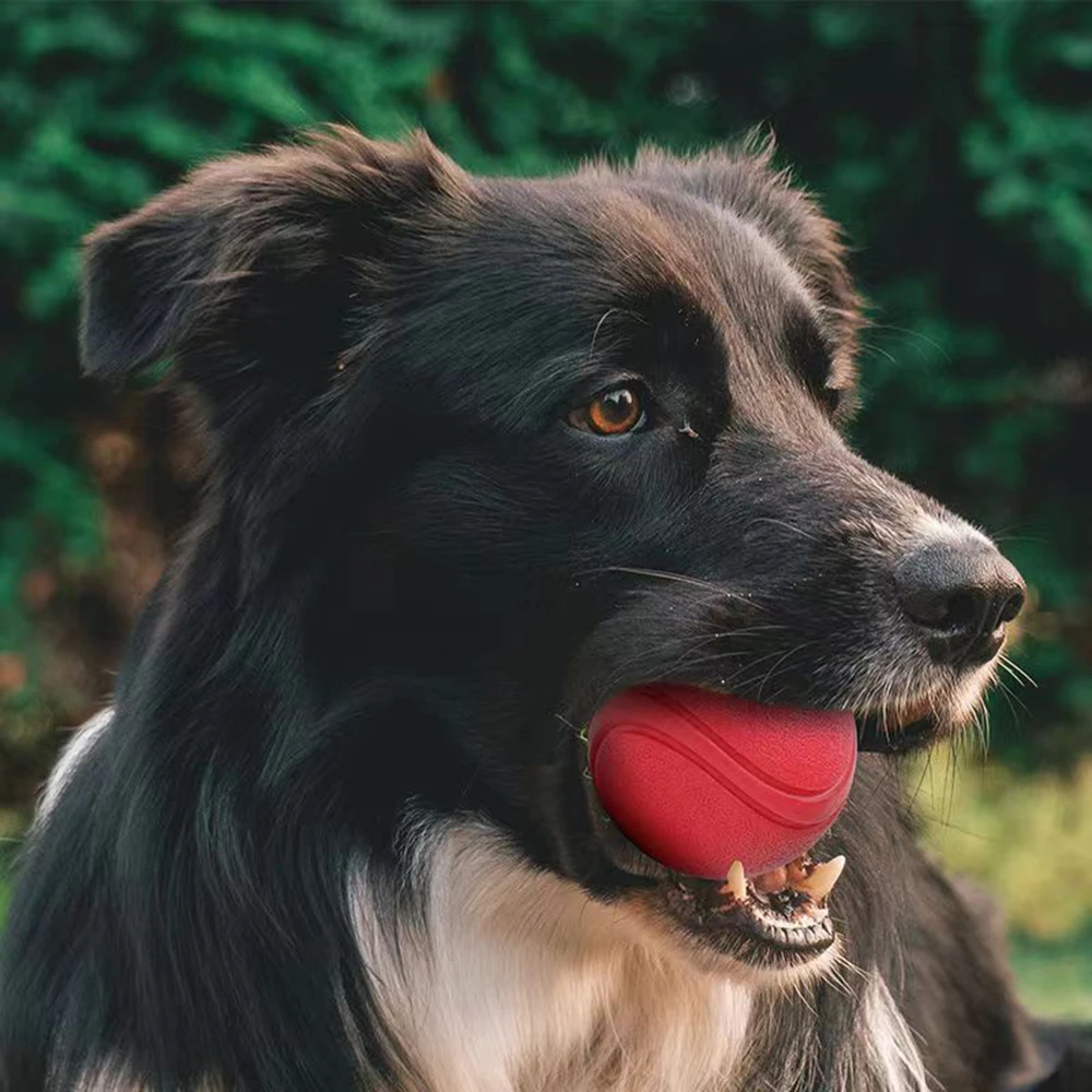 

Pet Dog Toy Ball Solid Bite-Resistant Chewing Indestructible Bouncing Ball Dog Rubber Training Interactive Game Ball with Rope