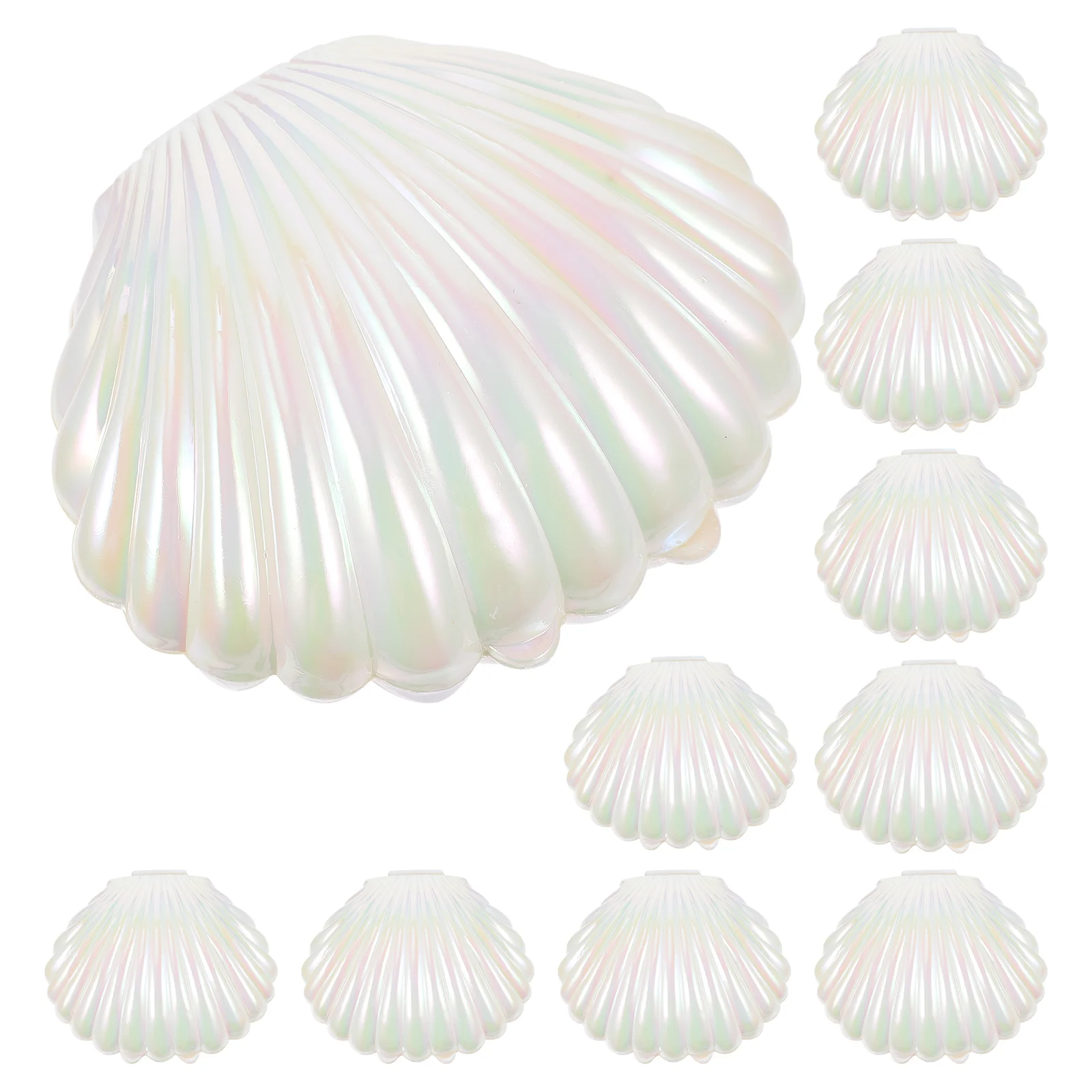 10pcs Shell Candy Boxes Shell Storage Container Jewelry Box Wedding Party Favor
10pcs Shell Candy Boxes Shell Storage Container Jewelry Box Wedding Party Favor