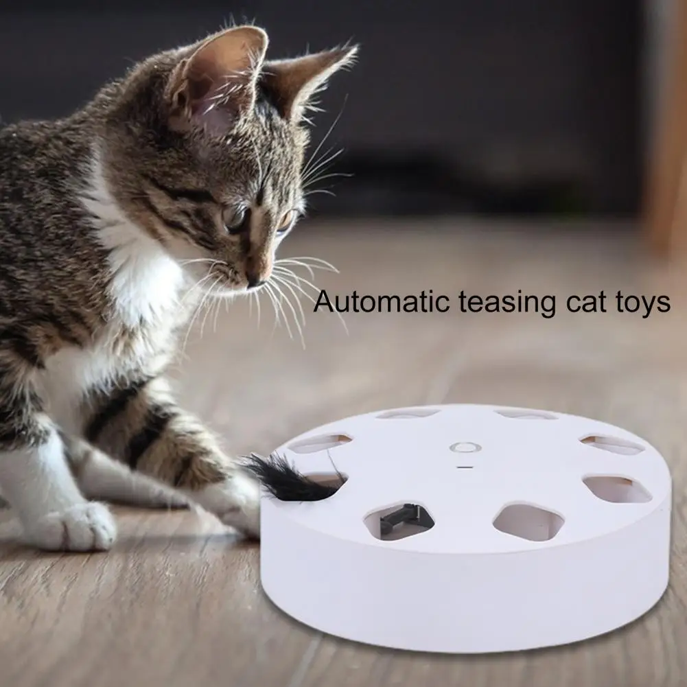 Attractive Electric Pet Cat Toy with Interactive Feather Cat Playing Toy 2 Colors Relieve Boredom
Attractive Electric Pet Cat Toy with Interactive Feather Cat Playing Toy 2 Colors Relieve Boredom