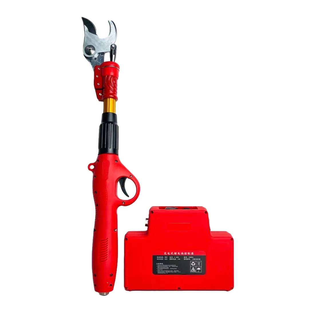 Electric Extended Lithium Battery Fruit Tree High Branch Scissors Pruning Shear Rechargeable Gardening Scissor
Electric Extended Lithium Battery Fruit Tree High Branch Scissors Pruning Shear Rechargeable Gardening Scissor