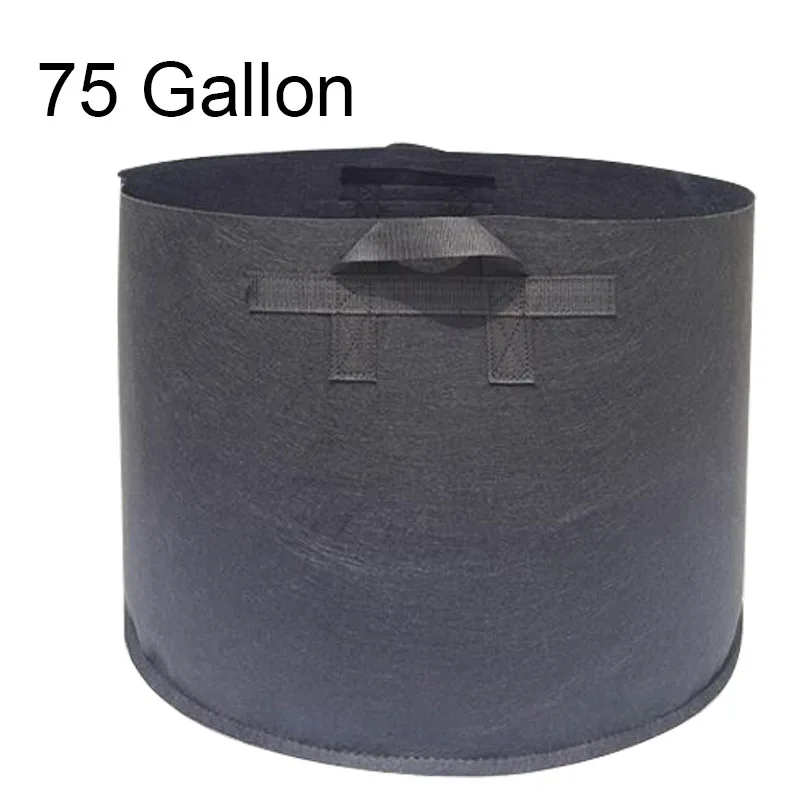 75Gal plant flower pots grow bags pot plant vegetable flower pots fabric garden planter peanut growing Large plants pot Q1
75Gal plant flower pots grow bags pot plant vegetable flower pots fabric garden planter peanut growing Large plants pot Q1