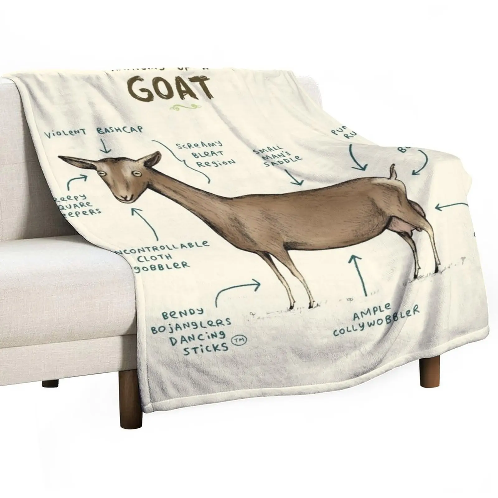 Анатомия козы декоративное одеяло для дивана одеяла для кровати набивные одеяла летнее одеяло 
Анатомия козы декоративное одеяло для дивана одеяла для кровати набивные одеяла летнее одеяло