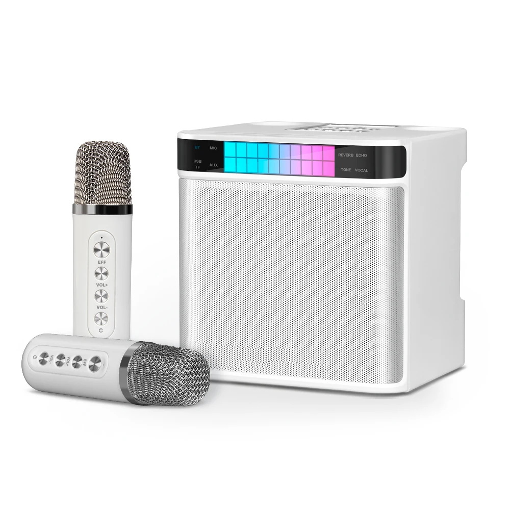 Depusheng YS-223 karaoke microphone portable wireless bluetooth Karaoke Speaker With two microphones For KTV
Depusheng YS-223 karaoke microphone portable wireless bluetooth Karaoke Speaker With two microphones For KTV