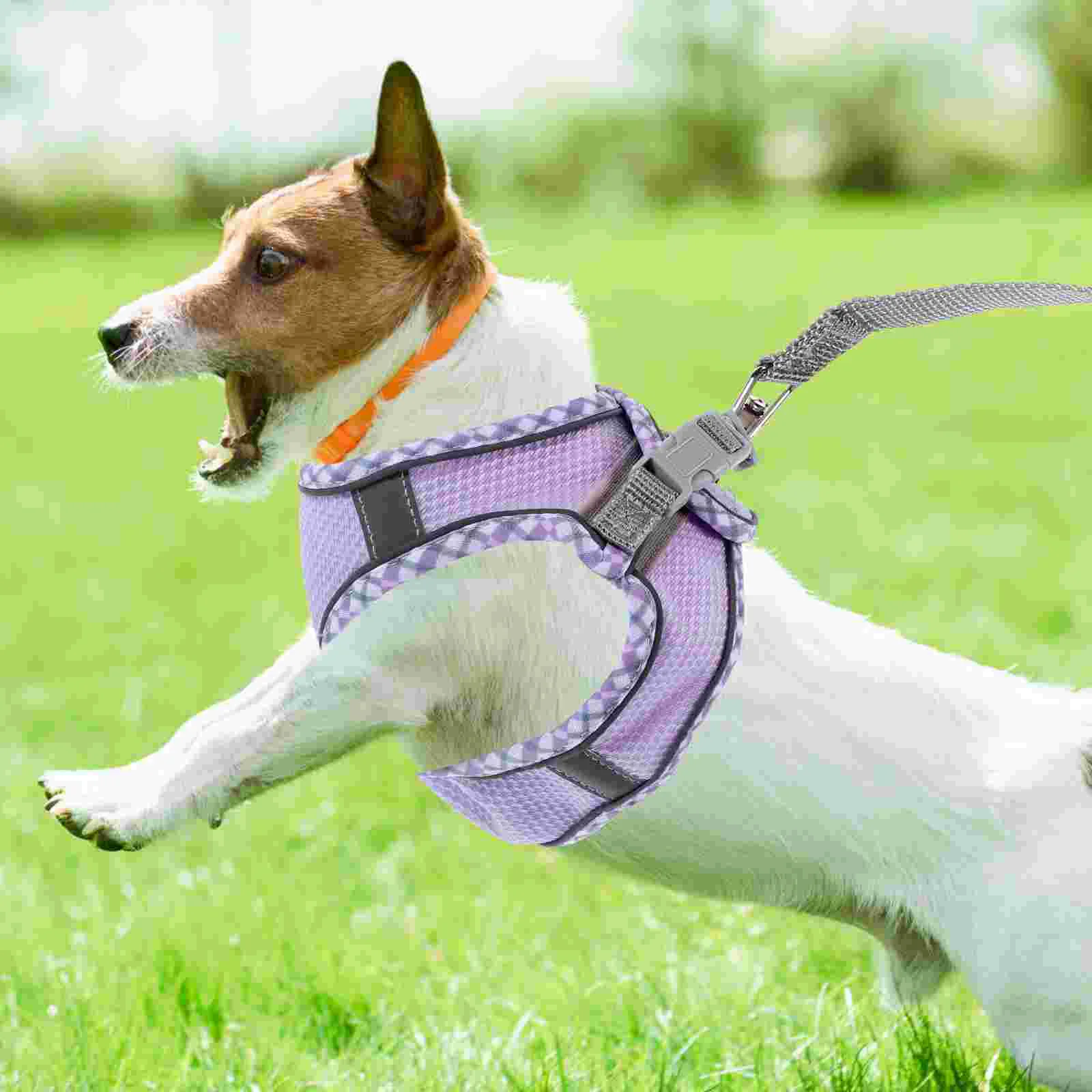 1 set of Pet Harness Dog Leash Harness Small Pet Harness Set Decorative Pet Leash (S)
1 set of Pet Harness Dog Leash Harness Small Pet Harness Set Decorative Pet Leash (S)