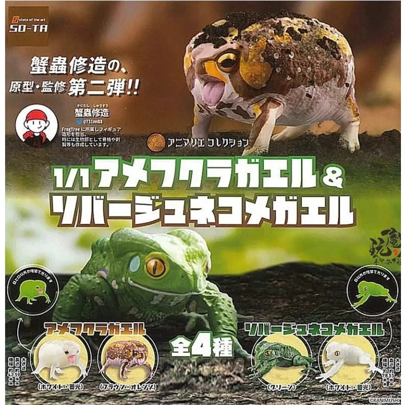 Японская Подлинная модель Gacha, имитация земноводной лягушки, настольное украшение, экшн-фигурка, игрушки
Японская Подлинная модель Gacha, имитация земноводной лягушки, настольное украшение, экшн-фигурка, игрушки