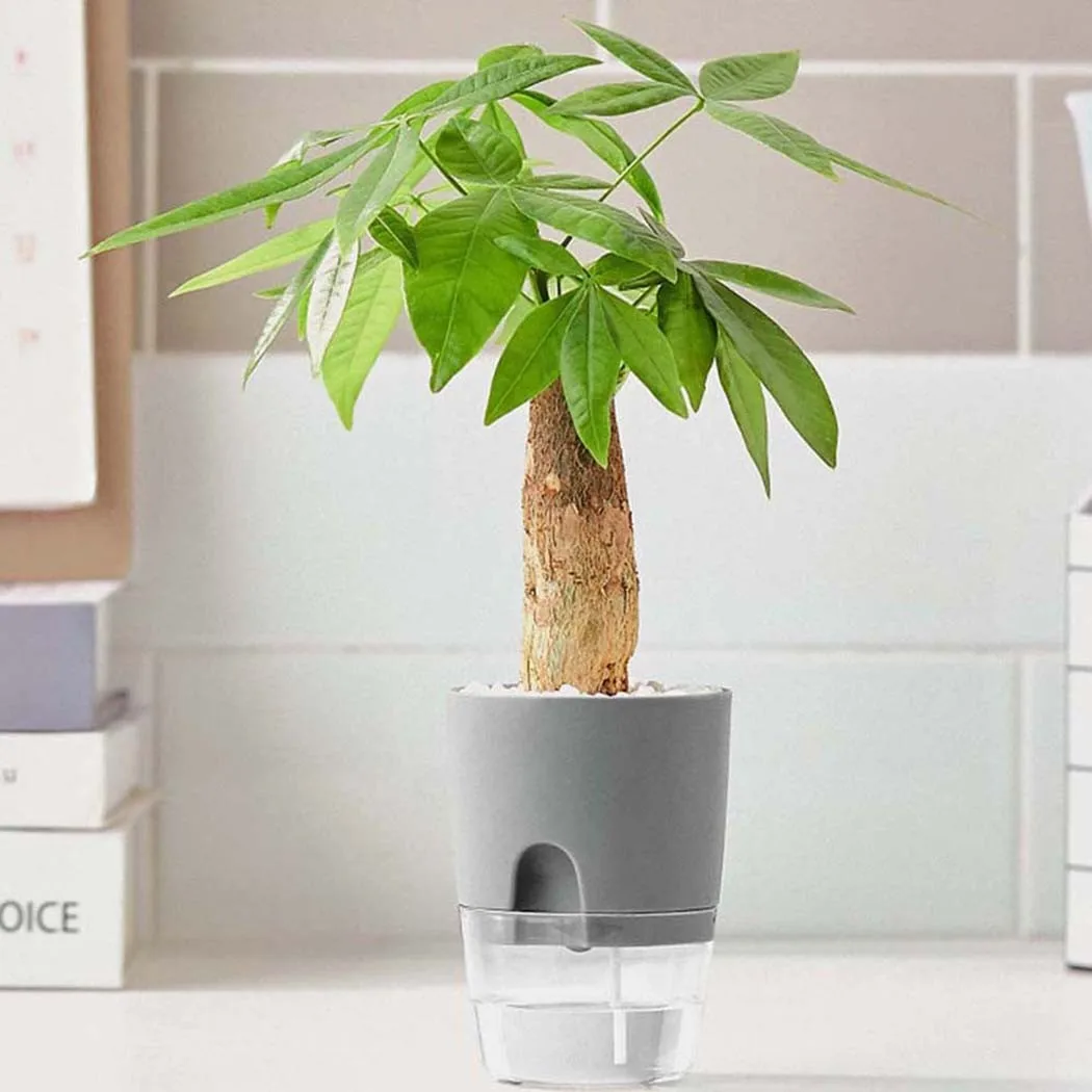 Indoor Plant Pot Double Layer Flower Pots Auto Irrigate Garden Supplies Outdoor Watering Plant Flower Pot With Water Container
Indoor Plant Pot Double Layer Flower Pots Auto Irrigate Garden Supplies Outdoor Watering Plant Flower Pot With Water Container