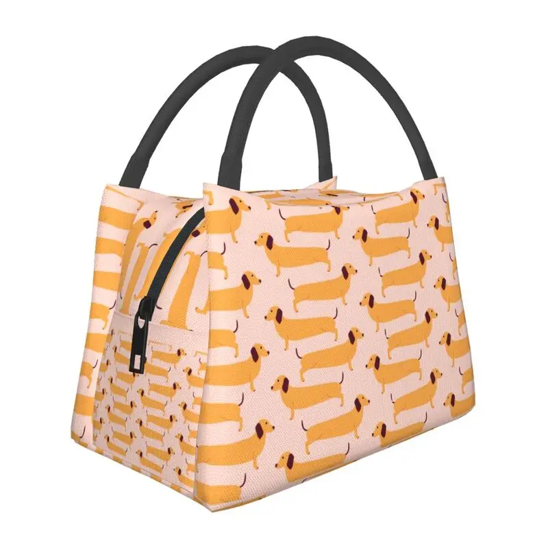 Puppy Dachshund Thermal Insulated Lunch Bag Women Sausage Dog Resuable Lunch Tote for Outdoor Camping Travel Meal Food Box
Puppy Dachshund Thermal Insulated Lunch Bag Women Sausage Dog Resuable Lunch Tote for Outdoor Camping Travel Meal Food Box