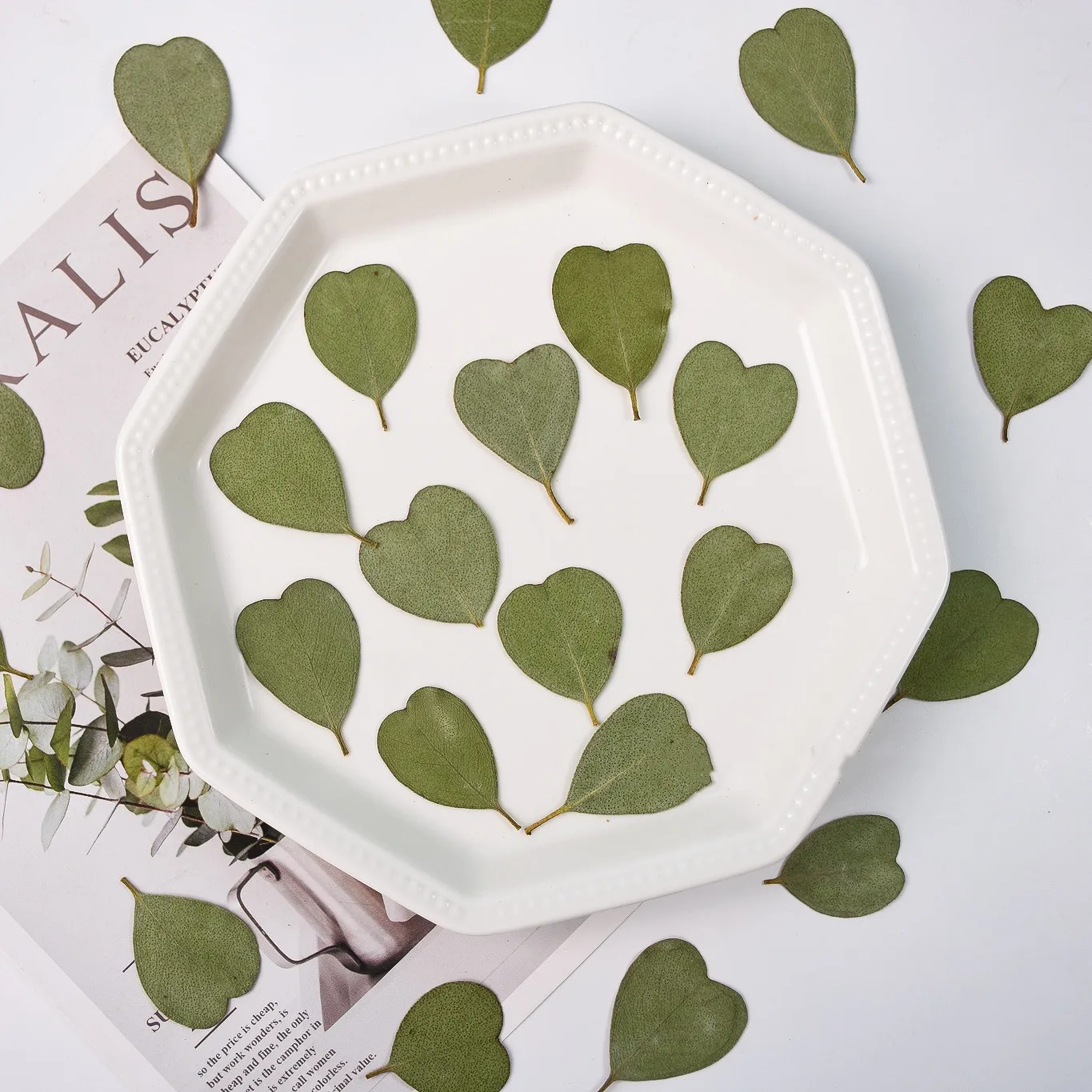 Pressed Dried Flower Heart Eucalyptus Leaf Herbarium Epoxy Resin Bookmark Prop Jewelry Postcard Invitation Card Phone Case DIY
Pressed Dried Flower Heart Eucalyptus Leaf Herbarium Epoxy Resin Bookmark Prop Jewelry Postcard Invitation Card Phone Case DIY