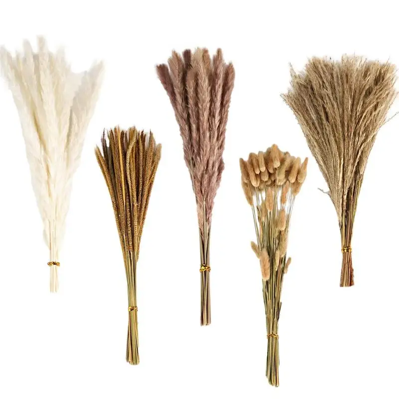 Fluffy Pampas Dried Flowers Bouquet Natural Dried Pampas Grass Decoration Artificial Flower Wedding Party For Wall Home Decor
Fluffy Pampas Dried Flowers Bouquet Natural Dried Pampas Grass Decoration Artificial Flower Wedding Party For Wall Home Decor