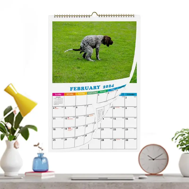 

12 ежемесячный настенный календарь-планировщик, забавные рандомные подарки, собаки, скакающие в красивых местах, календарь 2024, забавный подарок-кляп