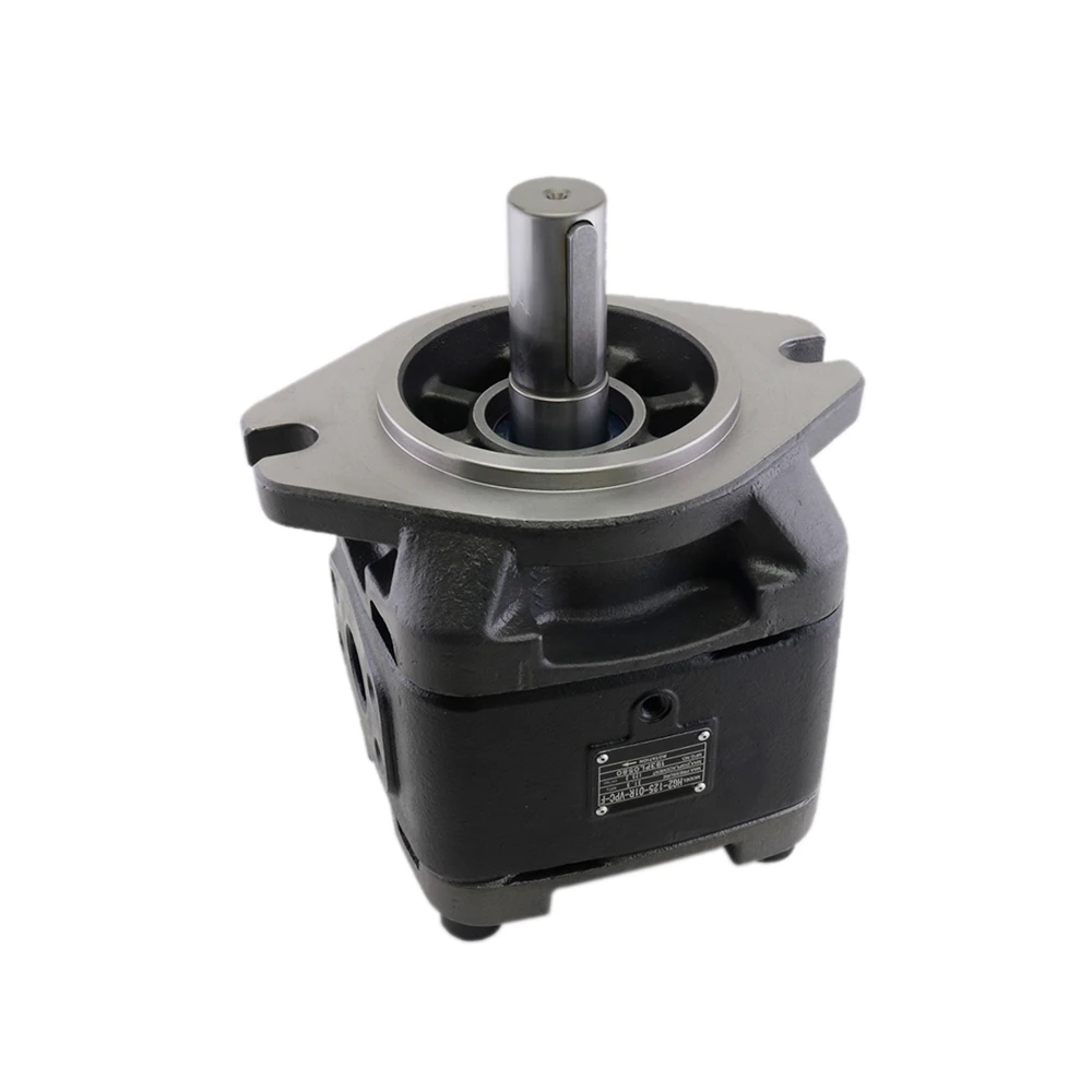 Chinese Hydraulic Manufacturer HG Series HG2-125-01R-VSC HG1-63-01R-VPC-G Hydraulic Internal Gear Oil Pump
Chinese Hydraulic Manufacturer HG Series HG2-125-01R-VSC HG1-63-01R-VPC-G Hydraulic Internal Gear Oil Pump