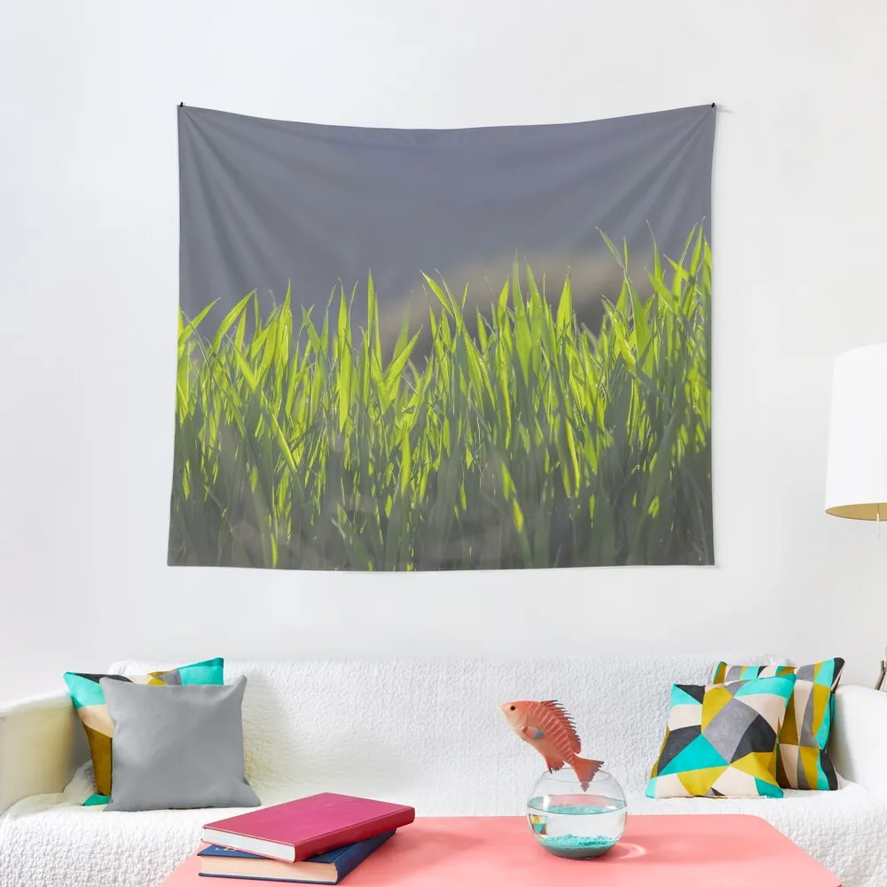 Grass Tapestry Wallpaper Bedroom Things To The Room Wallpaper Tapestry Cute Decor
Grass Tapestry Wallpaper Bedroom Things To The Room Wallpaper Tapestry Cute Decor
