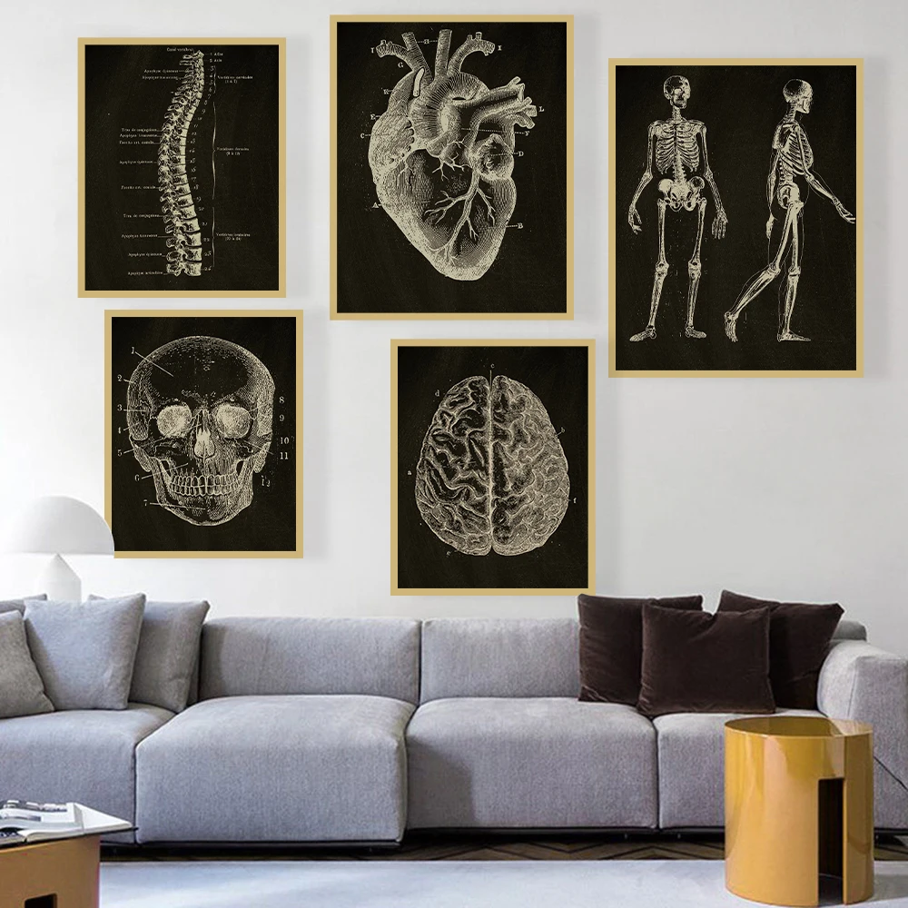 Anatomical Skeleton Chalkboard Poster Kraft Paper Posters Vintage Home Medicine Student Decor Medical Art Wall Painting Poster
Anatomical Skeleton Chalkboard Poster Kraft Paper Posters Vintage Home Medicine Student Decor Medical Art Wall Painting Poster