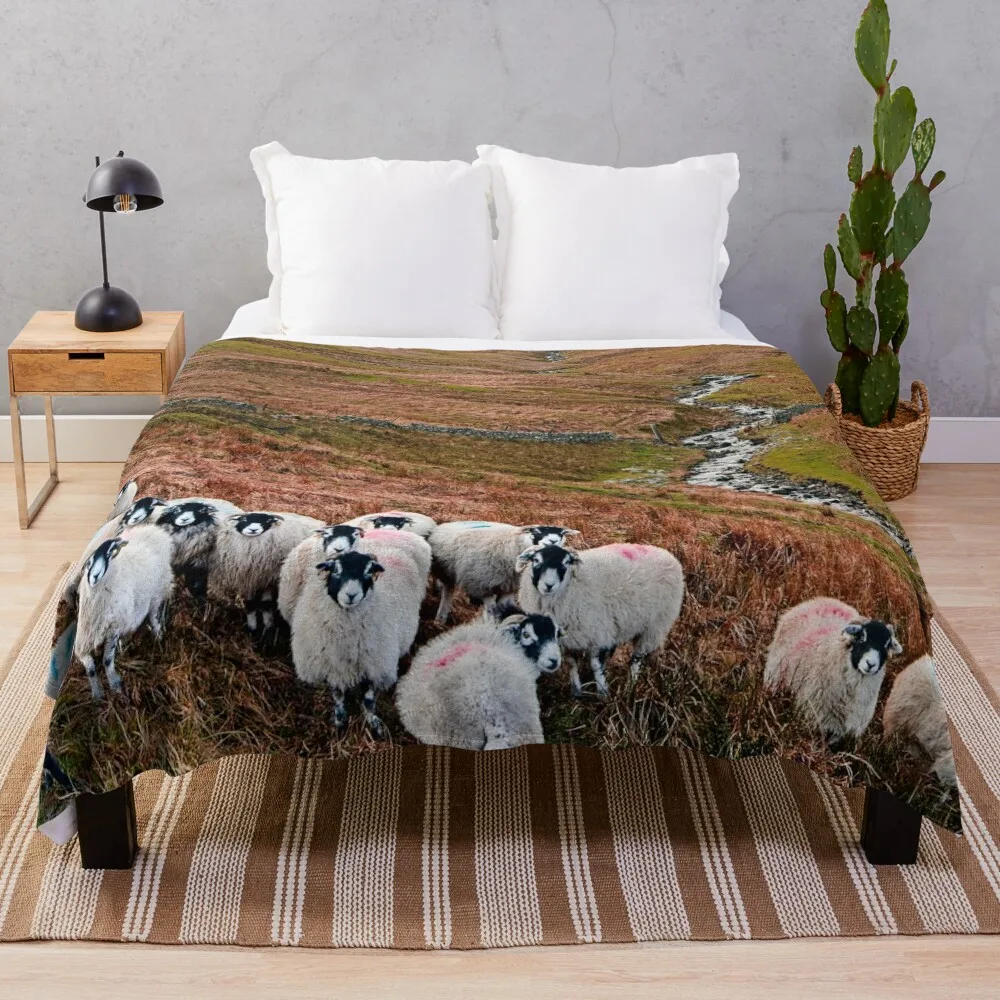 Swaledale Sheep in Weardale Throw Blanket Hairys Flannel Sleeping Bag christmas gifts Blankets
Swaledale Sheep in Weardale Throw Blanket Hairys Flannel Sleeping Bag christmas gifts Blankets