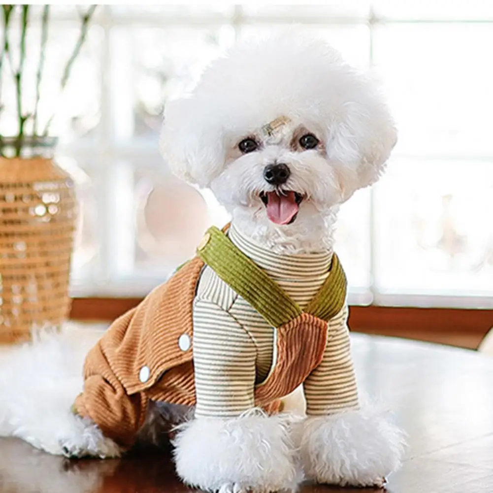 Winter Wear for Pets Warm Cozy Pet Winter Clothes Padded Backpack for Small Dogs Cats Comfortable Thickened Stylish Soft Pet
Winter Wear for Pets Warm Cozy Pet Winter Clothes Padded Backpack for Small Dogs Cats Comfortable Thickened Stylish Soft Pet