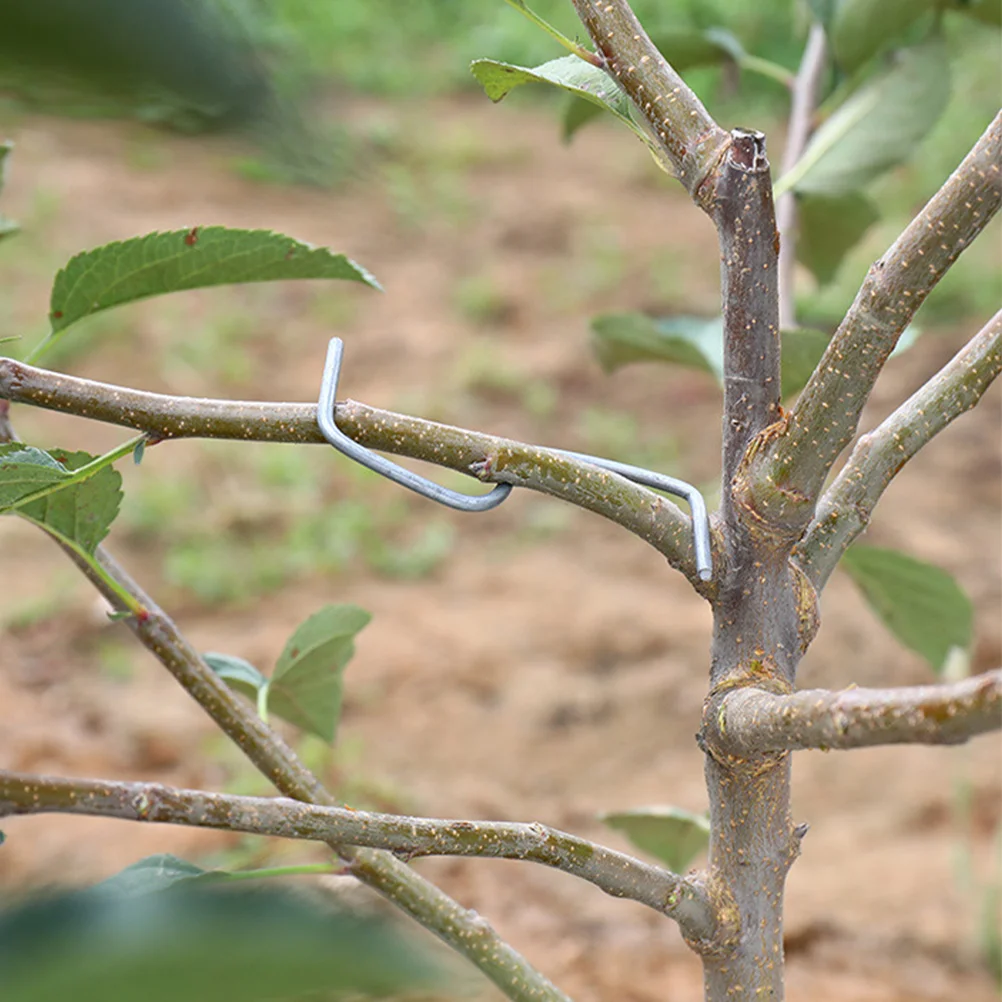 Plant Branch Benders Fruit Tree Branch Spreader Forms S Shape Branch Puller Branch Bending Tool Support The Growth New Branches
Plant Branch Benders Fruit Tree Branch Spreader Forms S Shape Branch Puller Branch Bending Tool Support The Growth New Branches