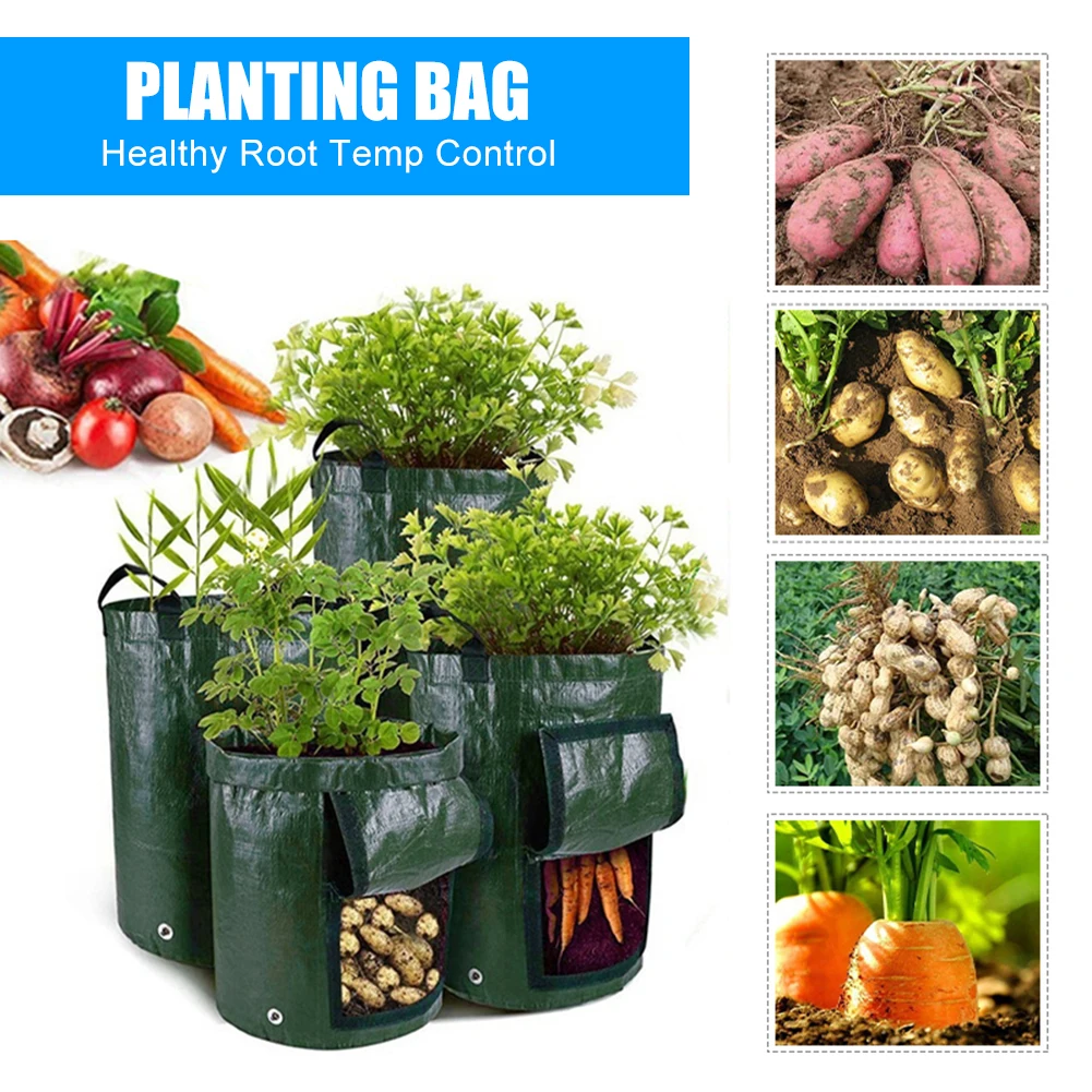Potato Grow Bags PE Vegetable Planter Growing Bag DIY Fabric Grow Pot Outdoor Garden Pots Garden Tools Veget Garden 1-10 Gallons
Potato Grow Bags PE Vegetable Planter Growing Bag DIY Fabric Grow Pot Outdoor Garden Pots Garden Tools Veget Garden 1-10 Gallons