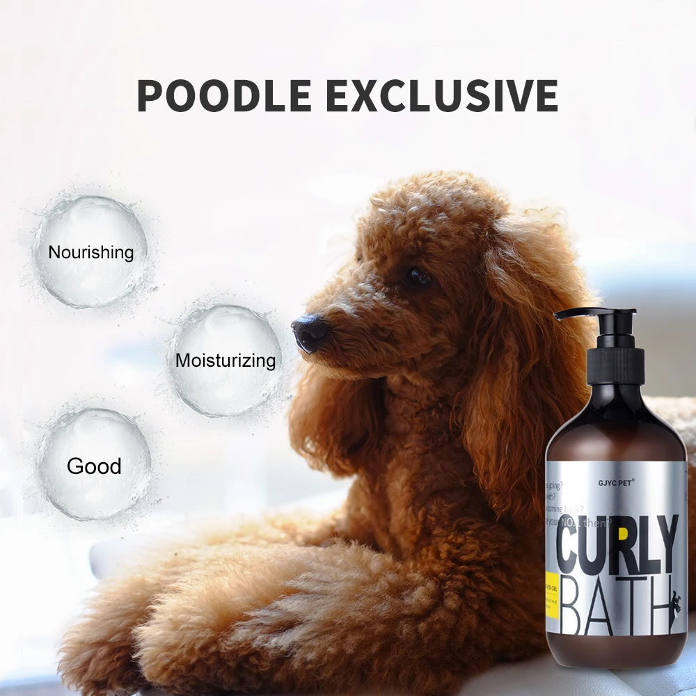 Dog Shampoo | Poodle Dog Shampoo A side profile of a "Curly Bath" bottle next to a fluffy tan Poodle. The background is a soft, out-of-focus teal.