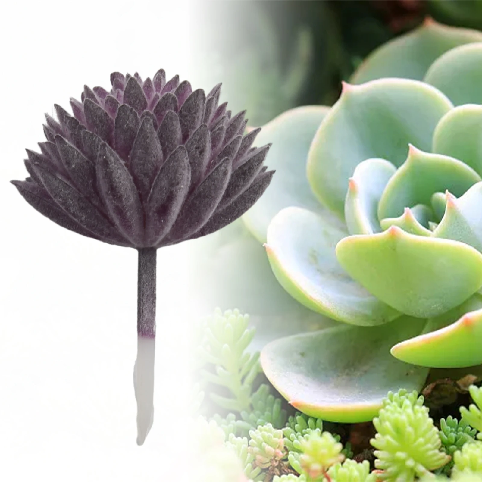 Artifical Plastic Succulent Plant Cactus Echeveria Flower Home Office Decor Gift Home Decor Art DIY Ornament Room Decoration
Artifical Plastic Succulent Plant Cactus Echeveria Flower Home Office Decor Gift Home Decor Art DIY Ornament Room Decoration