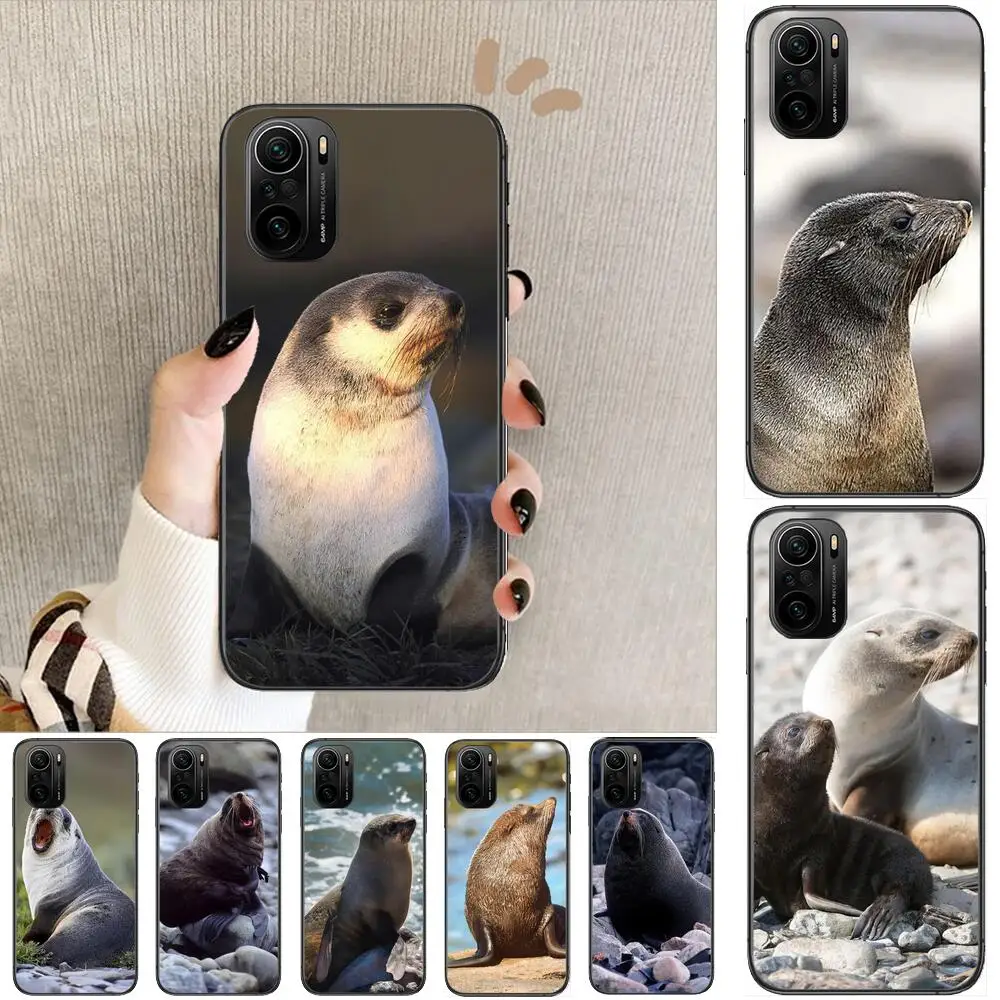 sea lion animal Phone Case For xiaomi redmi POCO F1 F2 F3 X3 Pro M3 9C 10T Lite NFC Black Cover Silicone Back Prett mi 10 ultra
sea lion animal Phone Case For xiaomi redmi POCO F1 F2 F3 X3 Pro M3 9C 10T Lite NFC Black Cover Silicone Back Prett mi 10 ultra