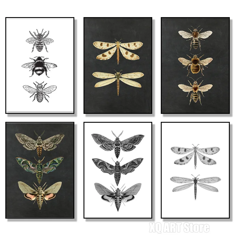 

Vintage Moth Nature Insect Prints Posters Home Wall Decor Animal Educational Pictures Canvas Paintings Kids Room Art Decoration