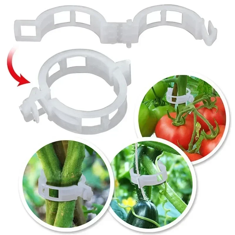 Tomato Vine Support Clips Sae3e153d9b714f80aa583f8198b9a3787