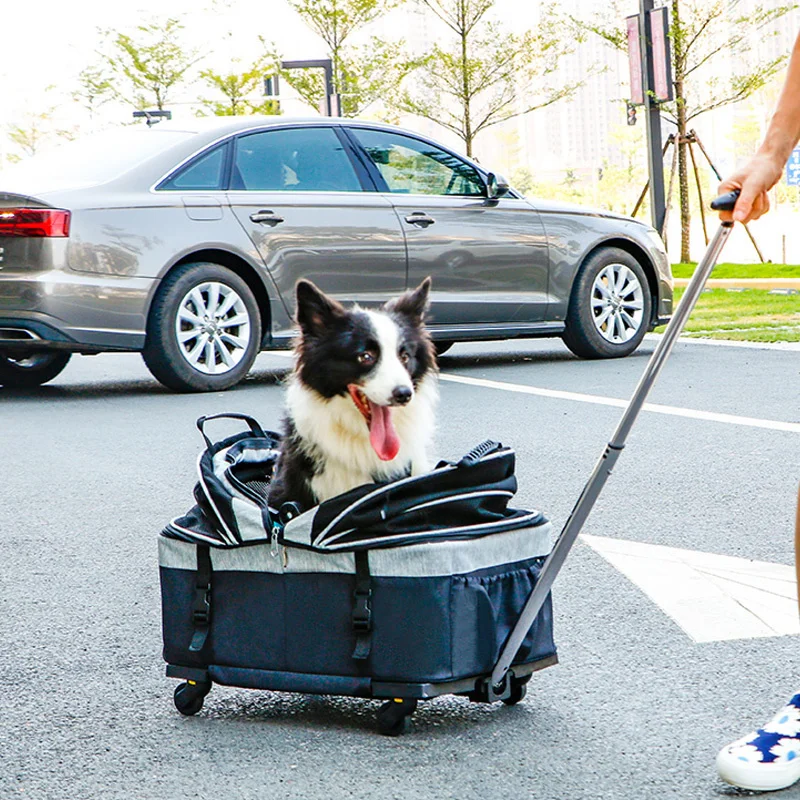 Pet Travel Bag Portable Trolley Case Detachable Universal Wheel Breathable Foldable Large Space Pet Puppy Mesh Carrier Bag
Pet Travel Bag Portable Trolley Case Detachable Universal Wheel Breathable Foldable Large Space Pet Puppy Mesh Carrier Bag